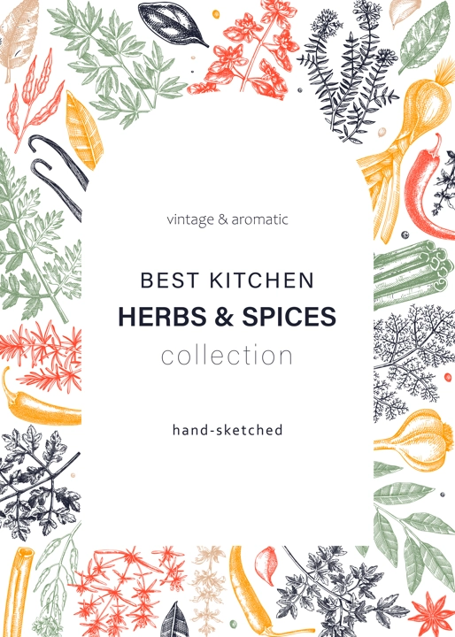 Hand-drawn herbs and spices vector card in color. Hand-sketched food illustration. Aromatic plant drawings. Kitchen herbs and spice frame template in sketched style for packaging, menu, banners